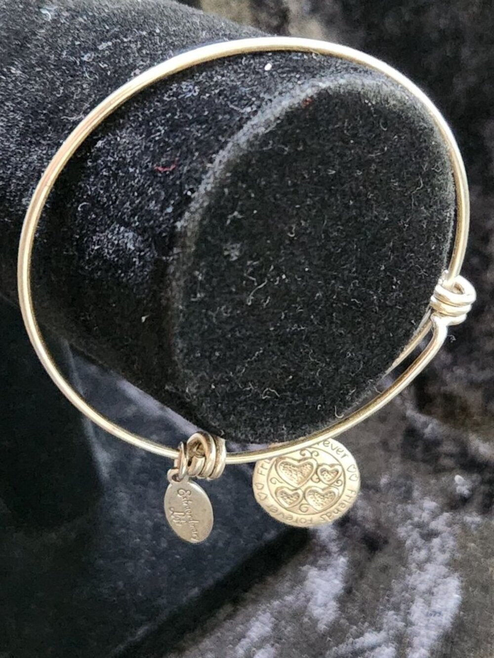 Extraordinary Life 925 Sterling Silver Friends Forever Charm Bracelet